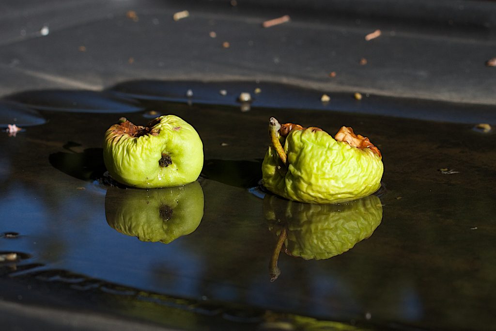 Apple (a veces) es una mierda